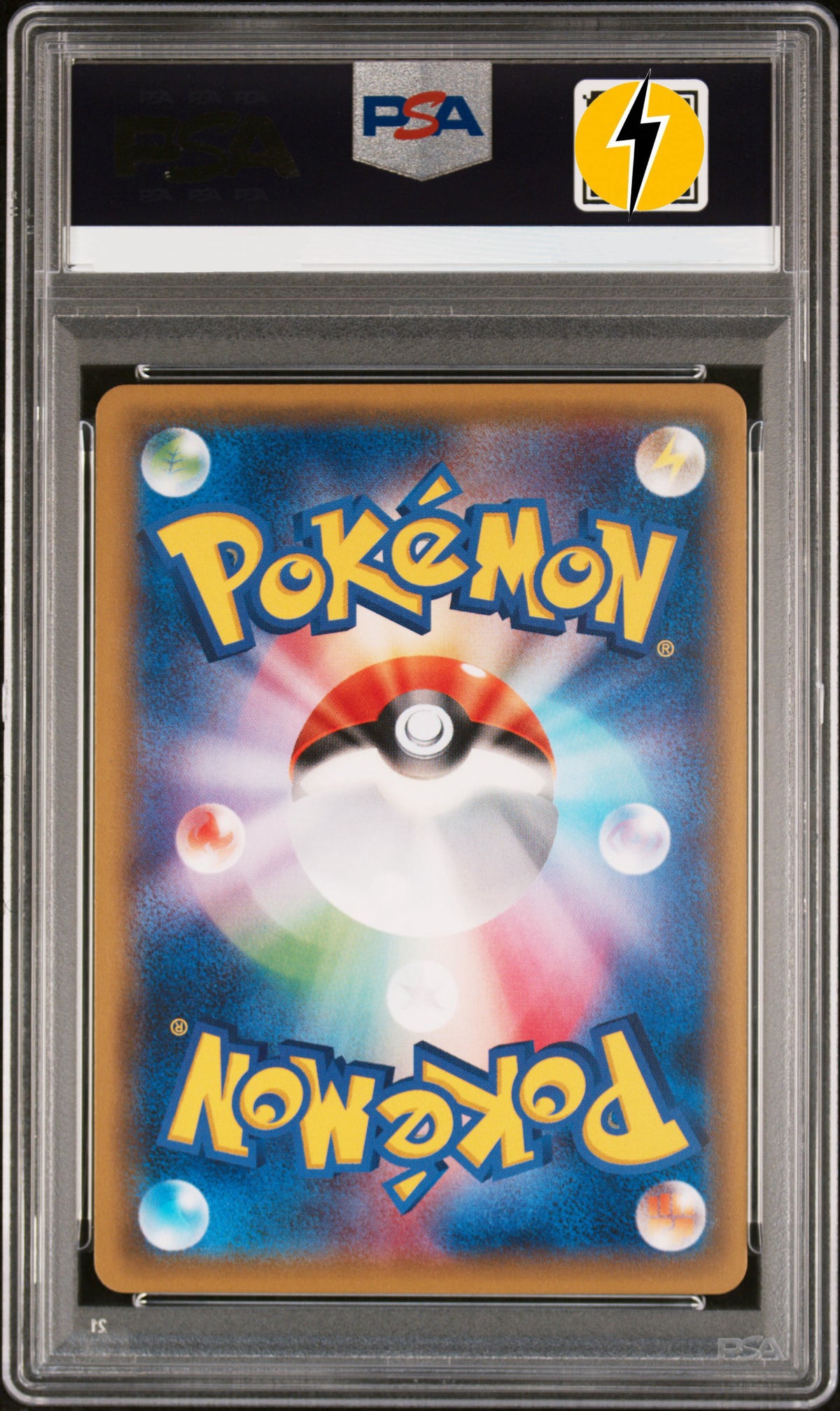 PSA 10 2016 POKEMON JAPANESE XY PROMO #206 PIKACHU M.CHARIZARD X/Y-P.M.CNTR. 206/XY-P