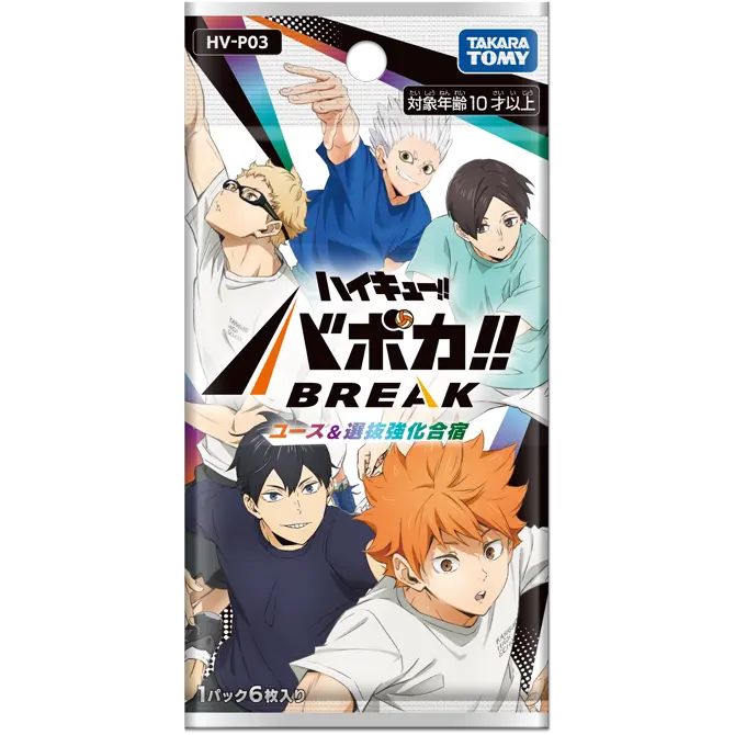 [HV-P03] 排球少年 選抜強化合宿 日版 Box